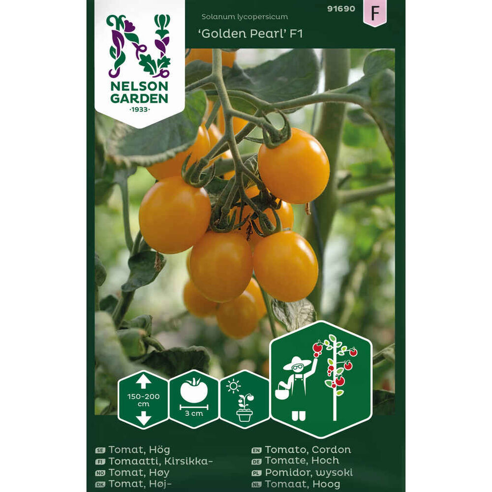 tomaatti 'Golden Pear' F1