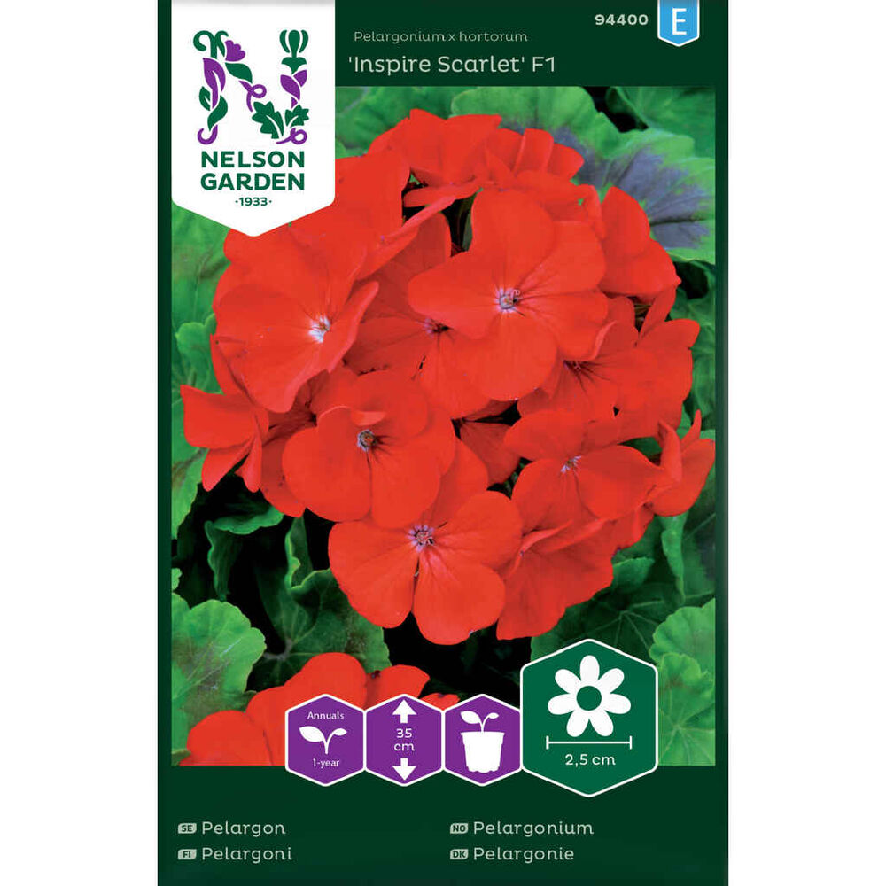 Pelargoni Inspire Scarlet F1