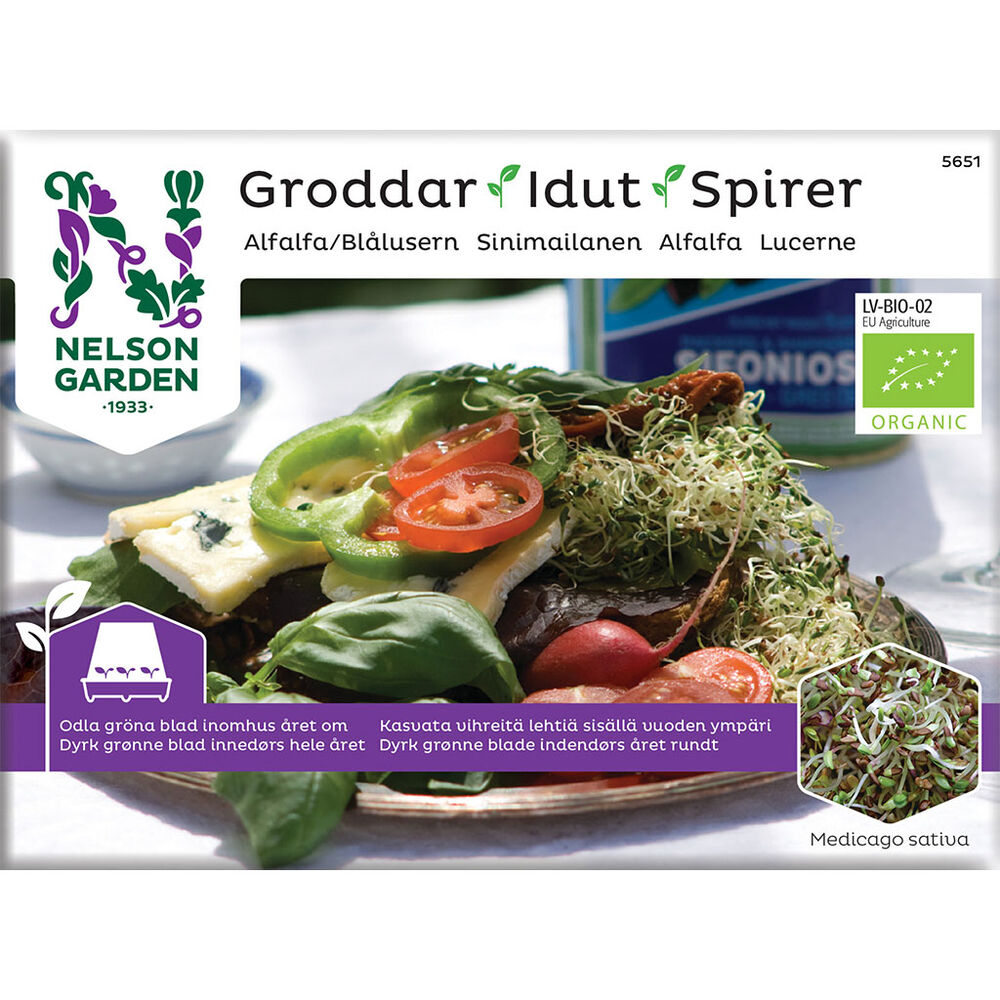 Idut sinimailanen, luomu Nelson