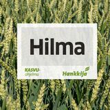 Hilma syysvehnä kemiallisesti peitattu 800 kg