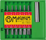 Ruuvauskärkisarja Torx 13-osainen