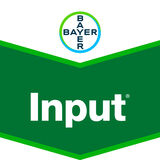 Input 5 l