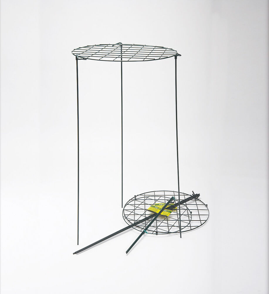 Perennatuki 70 cm x 45 cm