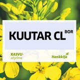 Kuutar CL BOR kevätrypsi