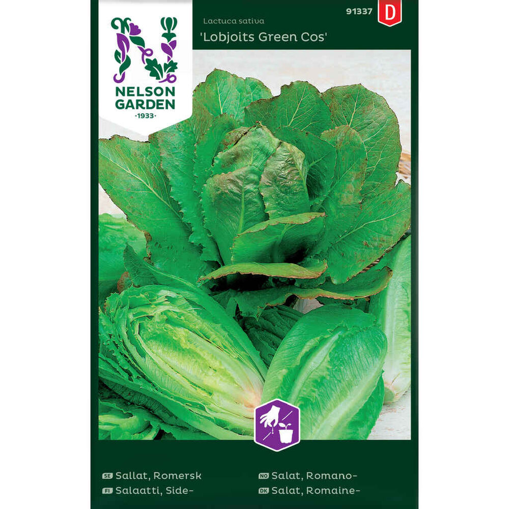 Sidesalaatti Lobjoits Green Cos