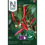 Chilipaprika, 'Toofan' F1