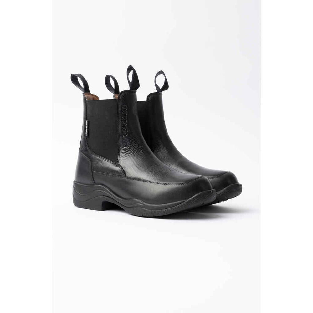B Vertigo Chantilly jodhpurit