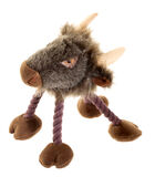 Koiranlelu Countrydog Buffalo
