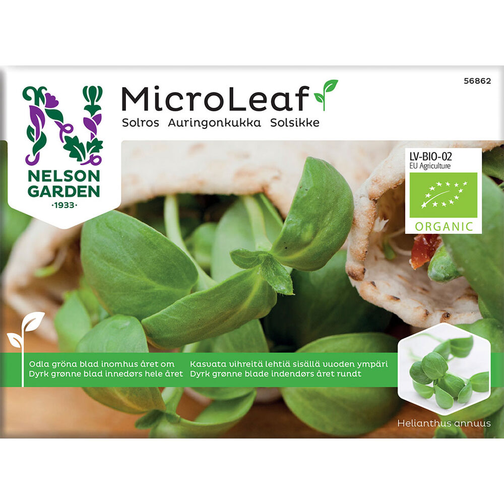 Micro Leaf auringonkukka luomu Nelson