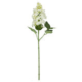 Syreeni oksa 64 cm valkoinen