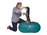 FitPaws Peanut Trax tasapainoalusta koiralle, sininen 60 cm