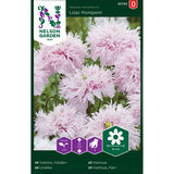 Unikko, 'Lilac Pompom'