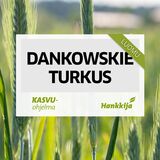 SIEMENSYYSRUIS TURKUS LUOMU 800 KG