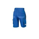 DeLaval työshortsit unisex