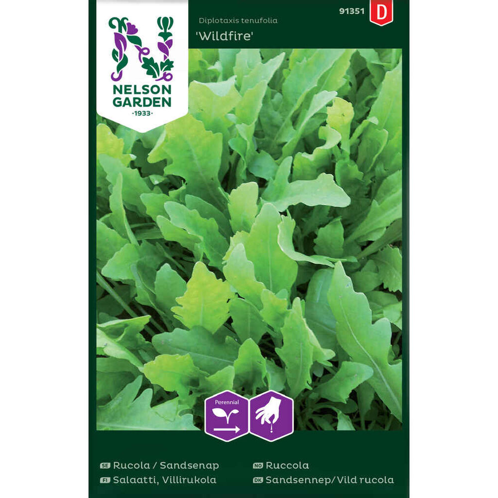 Salaatti villirucola Wildfire
