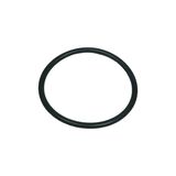 O-rengas, L59904