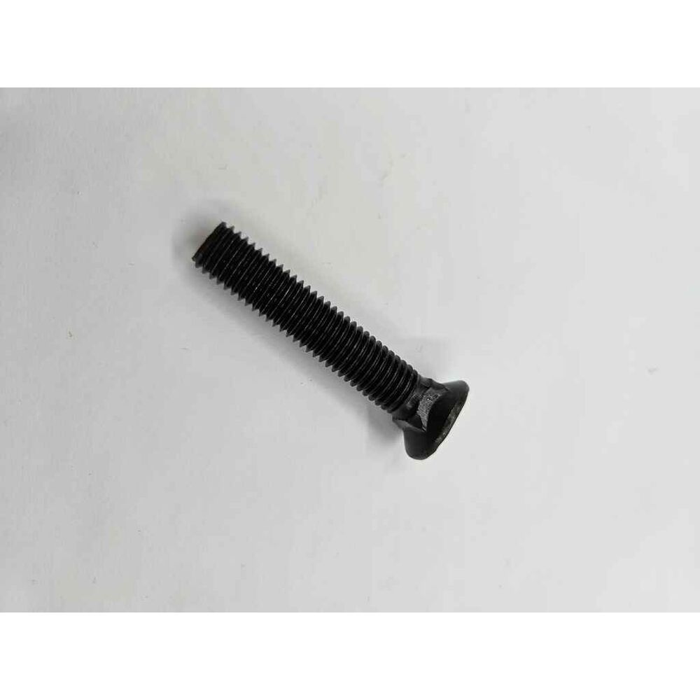 Auraruuvi M10x55, 427316