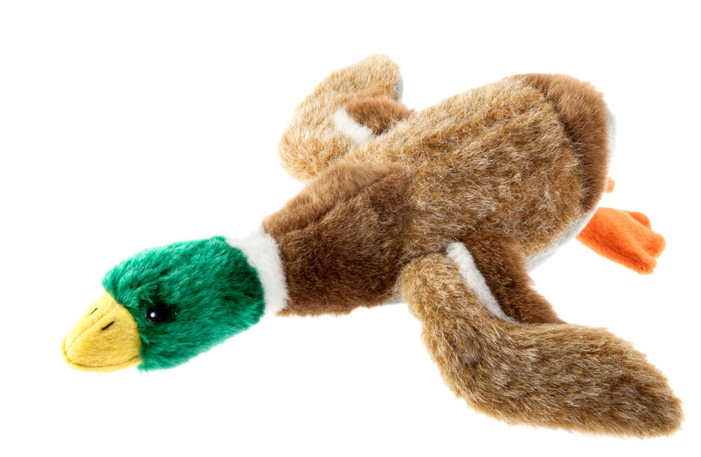 Koiranlelu Countrydog Sorsa