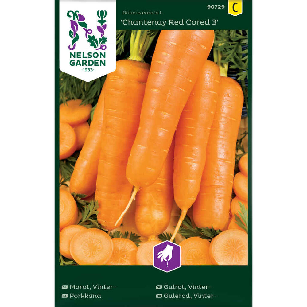 Porkkana Chantenay Red Cored 3