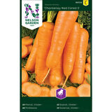 Porkkana, 'Chantenay Red Cored 3'