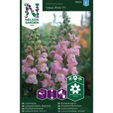 Leijonankita, 'Opus Pink' F1