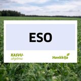 Siemenherne Eso puhdas 800 kg