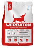 Rovio Werraton Aktiivi