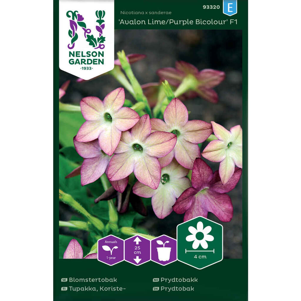 Koristetupakka Lime/Purple