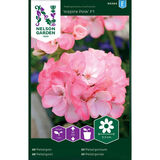 Pelargoni, 'Inspire Pink' F1