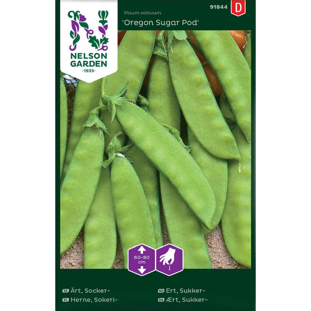 Sokeriherne Oregon Sugar Pod
