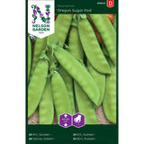 Sokeriherne, 'Oregon Sugar Pod'