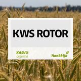 KWS Rotor hybridi syysruis 500kg