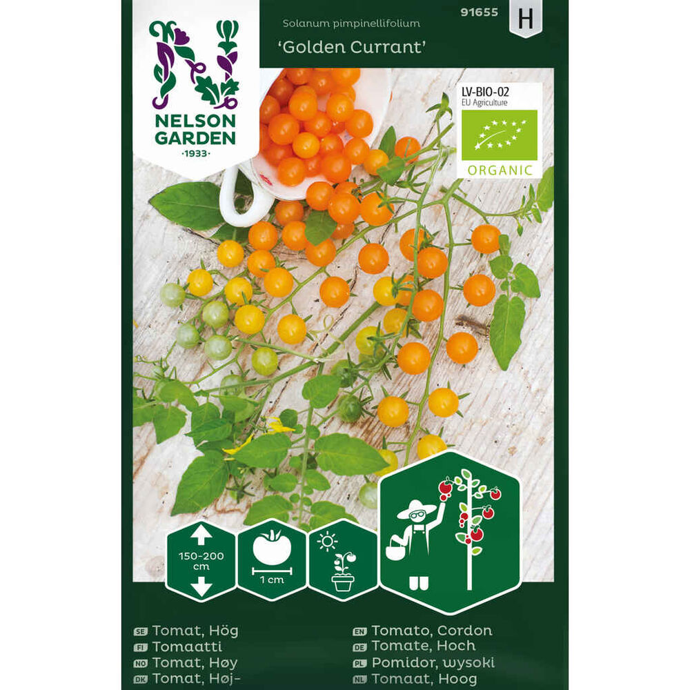 tomaatti 'Golden Currant', luomu
