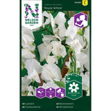 Tuoksuherne, 'Royal White'