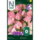 Tuoksuherne, 'Royal Rose'