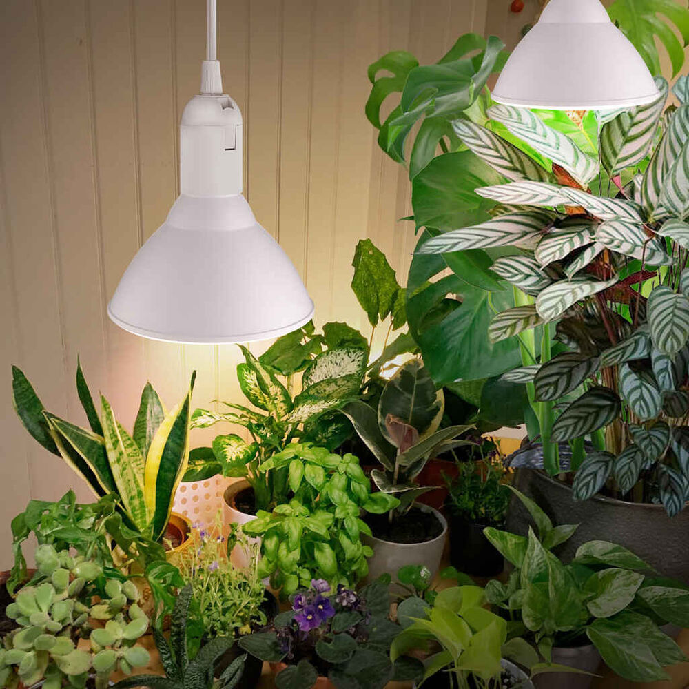 Strömsö kasvilamppu LED 15W