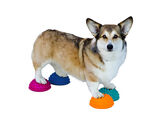 FITPAWS PAW PODS 4KPL SIS. PUMPUN