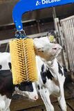 Karjaharja DeLaval mini MSB