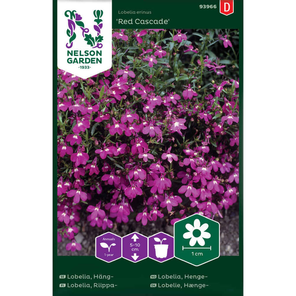 Riippalobelia Red Cascade