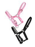 Varsariimu Crystal, Horse Comfort