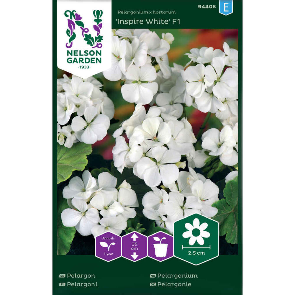 Pelargoni Inspire White F1