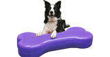 FitPAWS K9FITbone tasapainotyyny koiralle, XL 