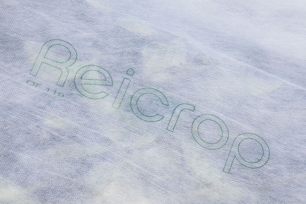 Kateharso Reicrop