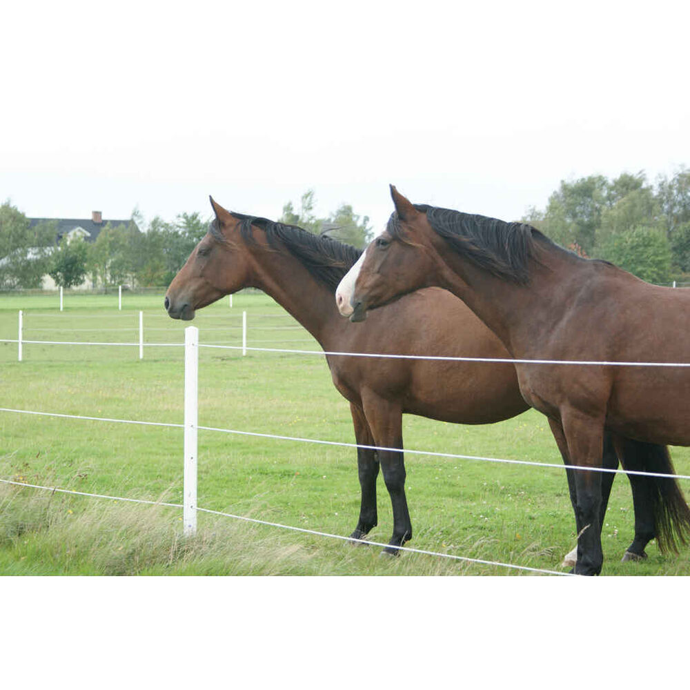 Aitatolppa Equi-Safe 65mm x 2,0 m, sisältää hatun