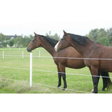 Aitatolppa Equi-Safe koko 65 mm x 2 m, sisältää hatun