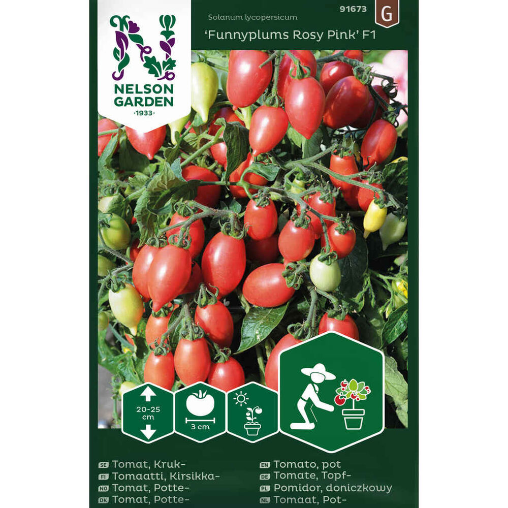 pensastomaatti Funnyplums Pink F1