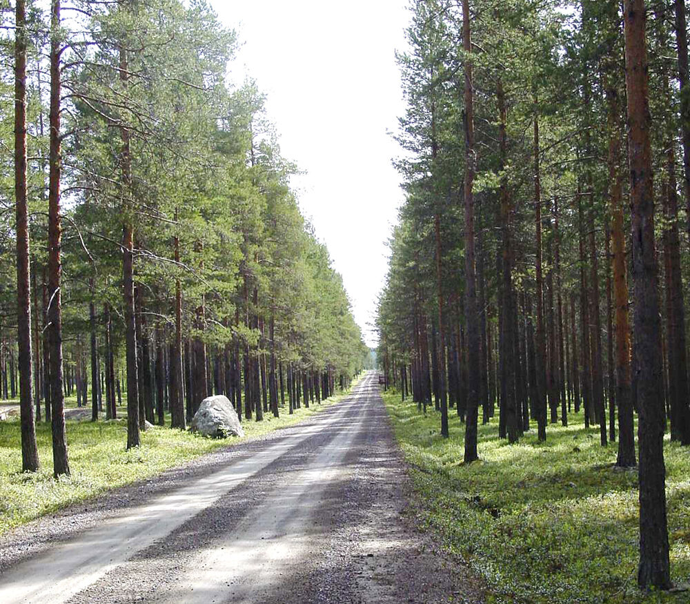 Suola pölynsidonta Wibax