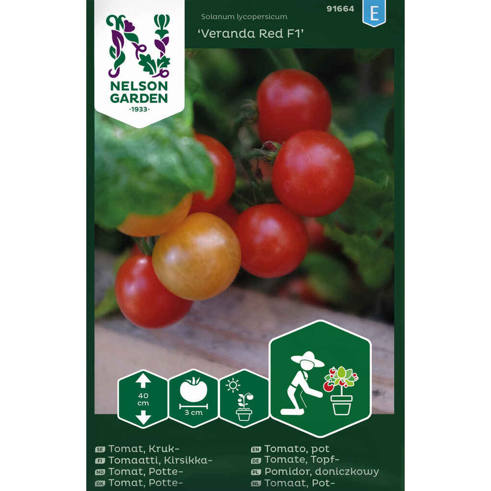 pensastomaatti 'Veranda Red' F1