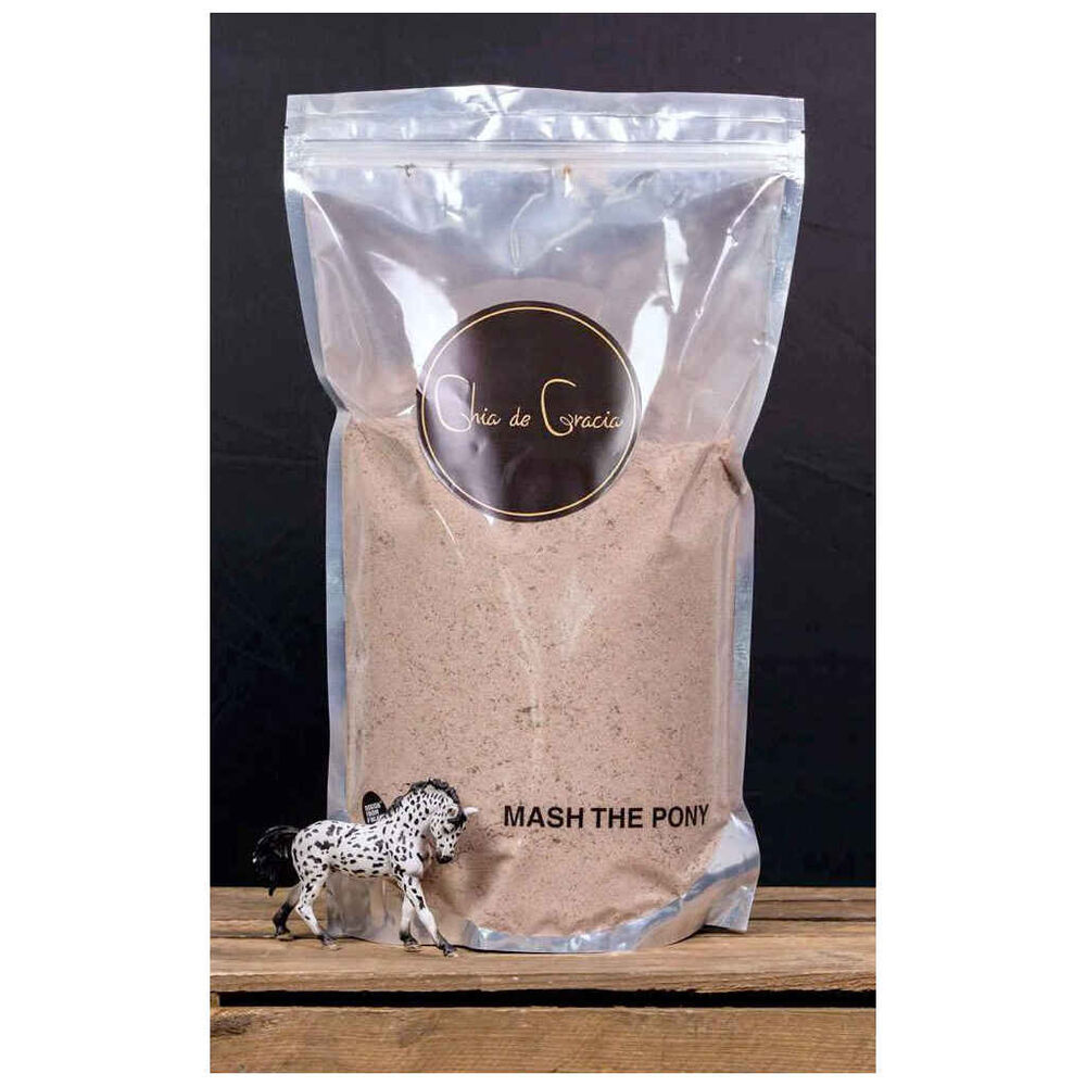 Chia de Gracia Mash the pony