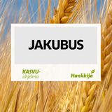 Siemensyysohra Jakubus kemiallisesti peitattu 800 kg
